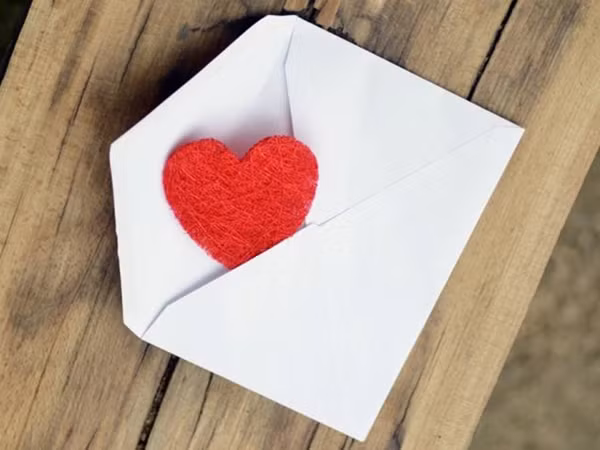 “Thư tình” gửi một chú mèo