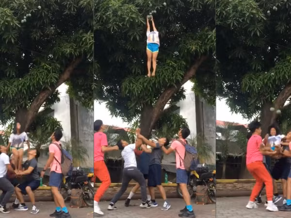 Clip: Cảnh giới tối cao của "xoài tặc" là đây!