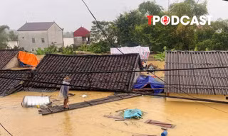 Chuyên gia cảnh báo 'điểm mù' chủ quan trong đợt mưa lũ diện rộng