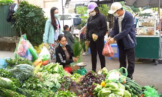 Lý giải nguyên nhân rau xanh Hà Nội tăng giá phi mã