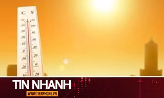 TIN NHANH: Chuyên gia lý giải nắng nóng hiếm gặp trong tháng 8