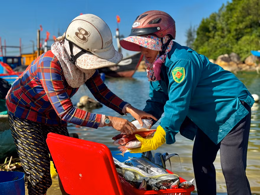 Quảng Ngãi: Bình minh ở làng chài Sơn Trà