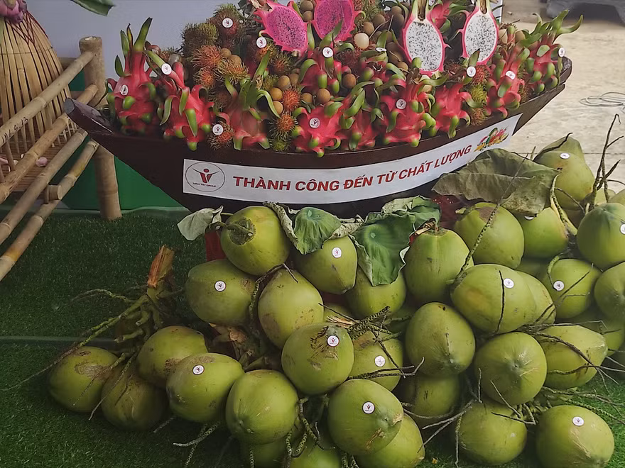Cận cảnh lô trái cây đầu tiên được xuất khẩu vào thị trường EU