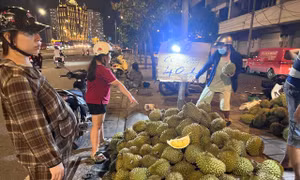 Người dân TPHCM đổ xô ‘săn’ sầu riêng giá siêu rẻ