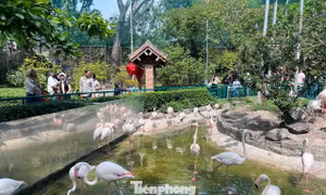 Thảo Cầm Viên Sài Gòn chật kín người du xuân