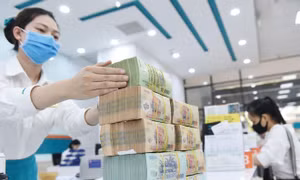 Nhiều doanh nghiệp phụ thuộc vào tài sản thế chấp
