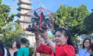 Cảnh xếp hàng 'xin lộc' đầu năm