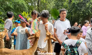 Muôn vàn lựa chọn cho trẻ em vui chơi dịp Tết Thiếu nhi tại TPHCM