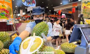 Vì sao giá sầu riêng chỗ đắt đỏ, nơi lao dốc? 