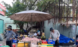 Thịt đông lạnh nhập khẩu: Mua càng nhiều, giá càng rẻ