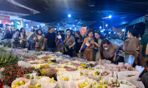 Xuyên đêm 'săn' hoa Tết ở chợ Hồ Thị Kỷ