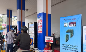 Người dân TPHCM xếp hàng trải nghiệm dùng xăng E10