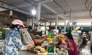 Đau đầu vì giá rau tăng chóng mặt ở TPHCM