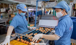 Mặc dù có nhiều tín hiệu tích cực nhưng những rủi ro, khó khăn vẫn bủa vây doanh nghiệp trong giai đoạn phục hồi