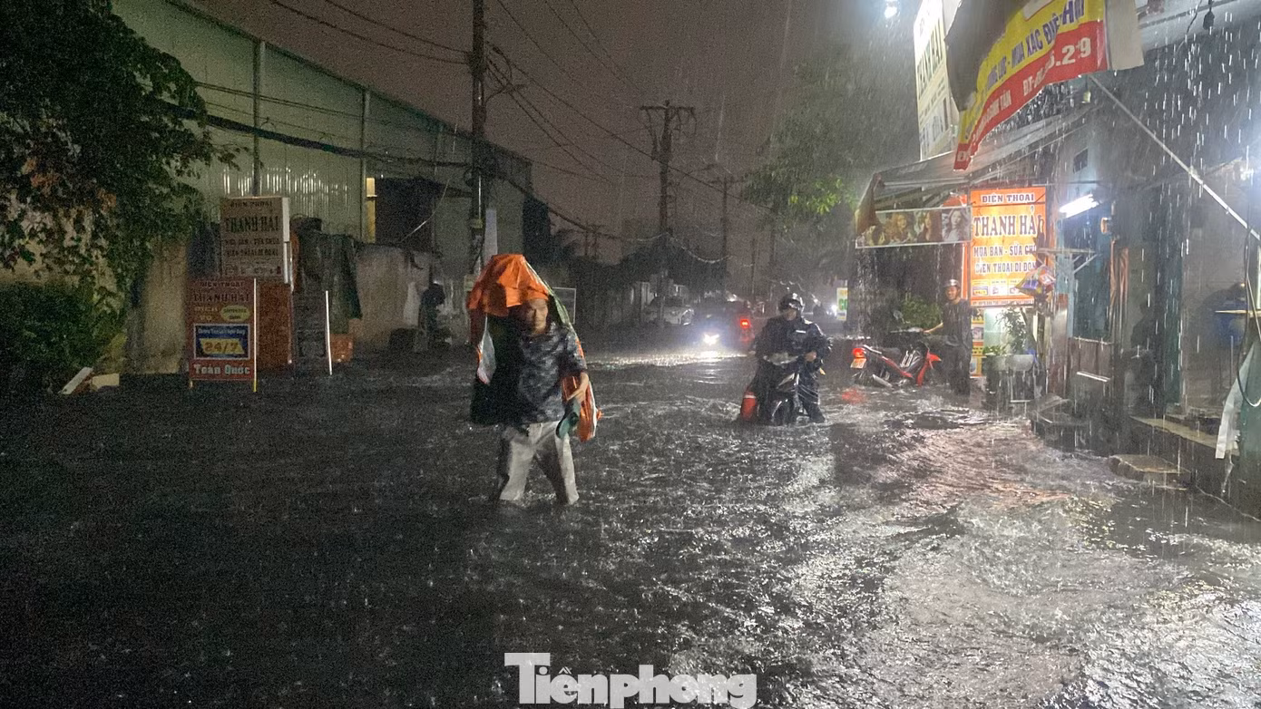 tp-sinco1021020.jpg
