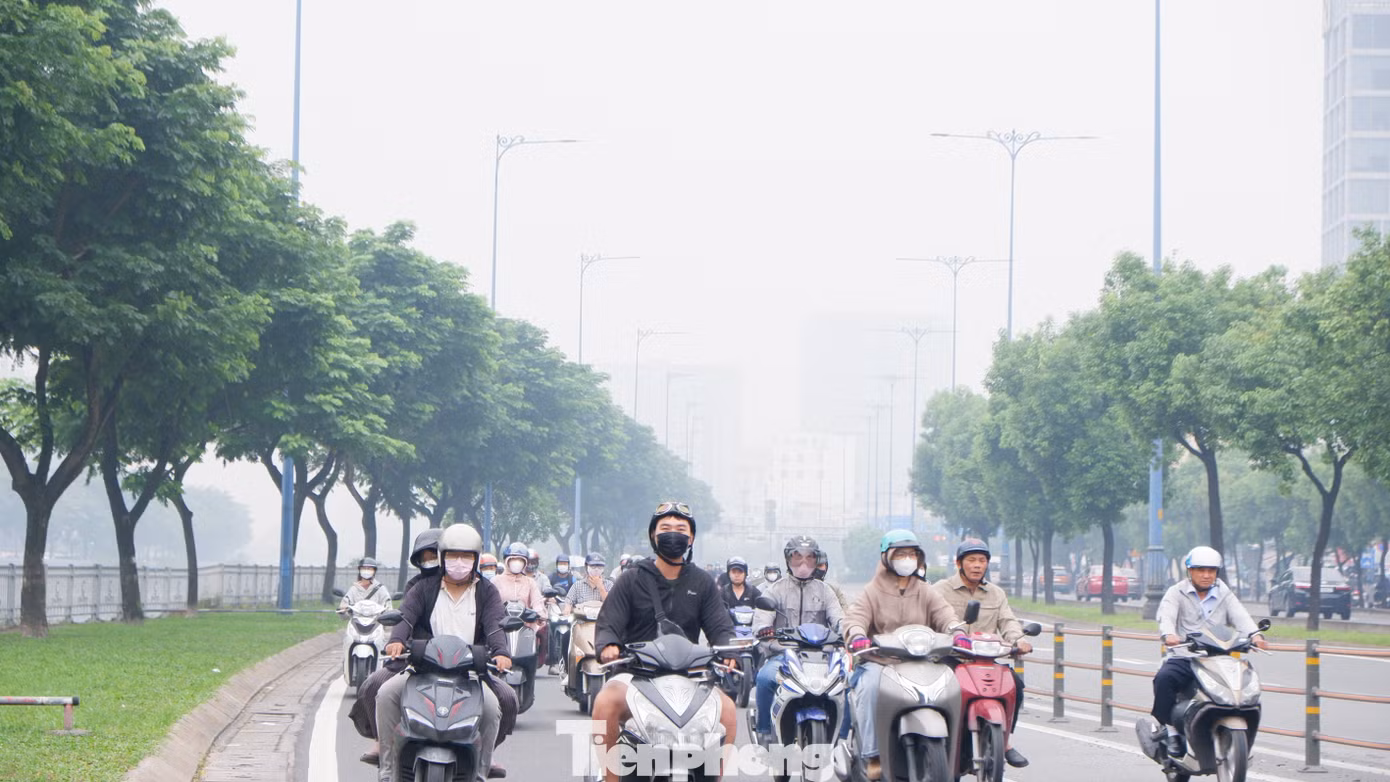 tp-suong-mu-12010201.jpg