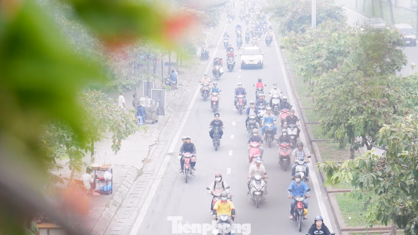 tp-suong-mu-20.jpg