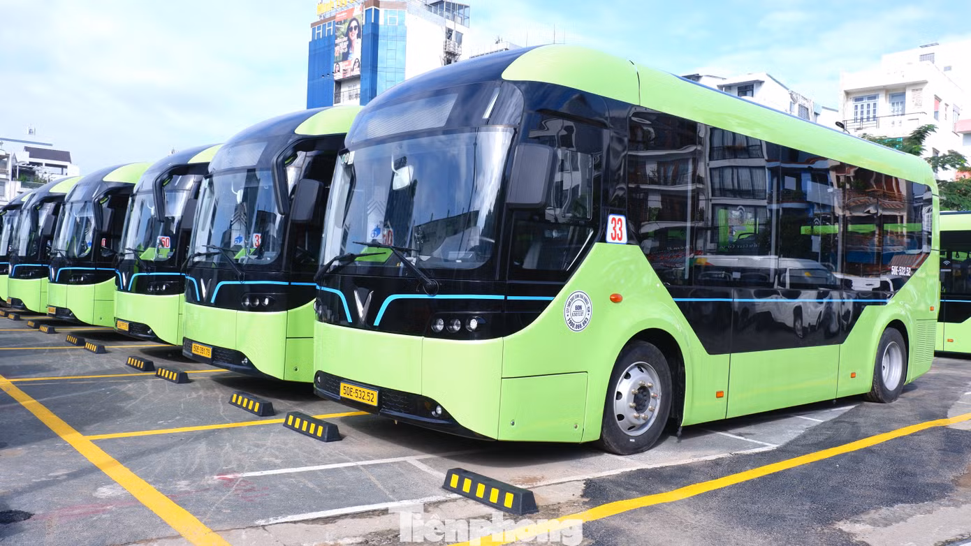 tp-vinbus-2.jpg