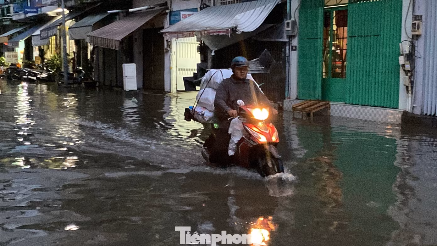 tp-ngap-20.jpg