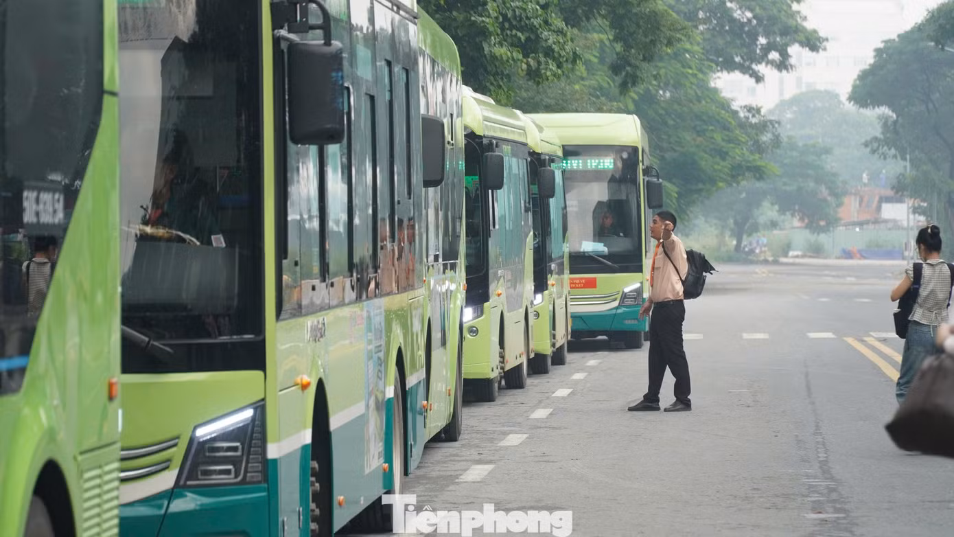 tp-bus-7.jpg