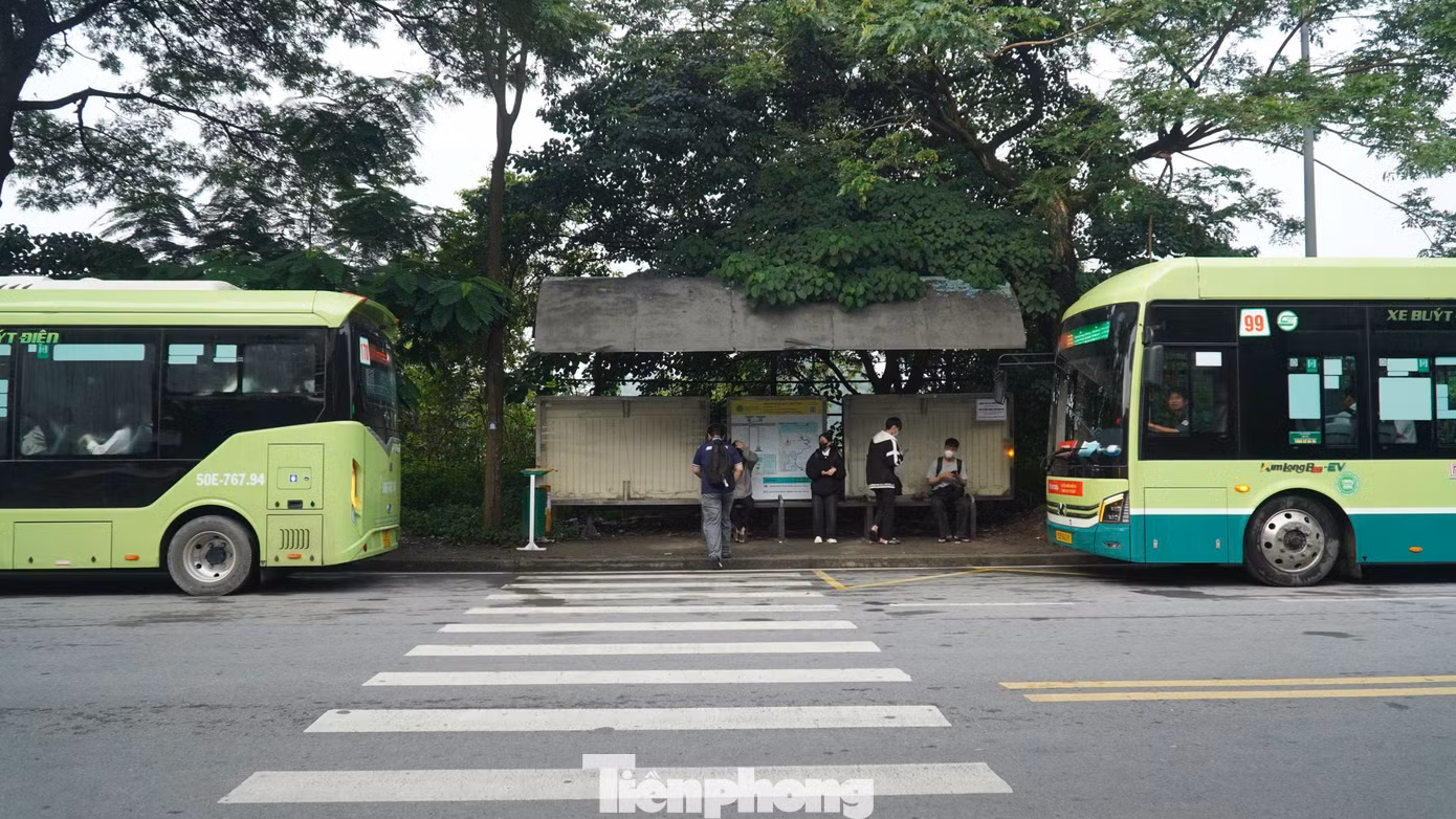 tp-bus-5.jpg