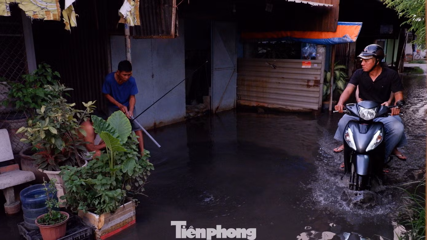 tp-phu-dinh-9.jpg