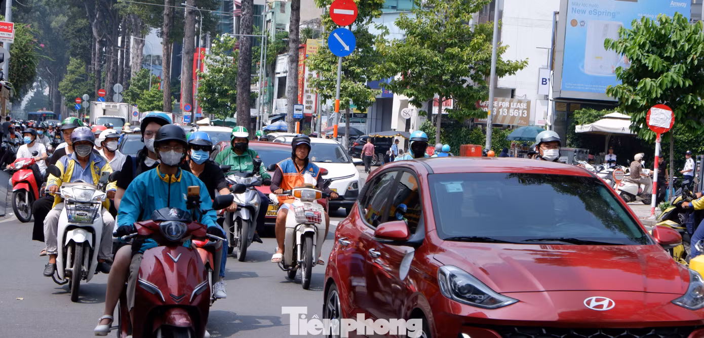 tp-giao-thong-4435.jpg