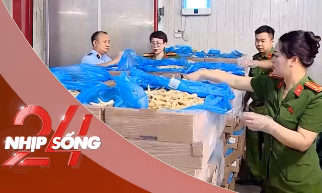 NHỊP SỐNG 24: Cận cảnh 260 tấn chân gà hết hạn, bốc mùi trong kho hàng của đường dây buôn lậu