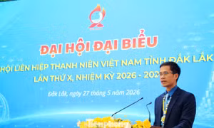 Phó Bí thư Thường trực Tỉnh Đoàn Đắk Lắk tái cử Chủ tịch Hội LHTN Việt Nam tỉnh