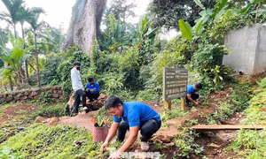 Hành trình xanh của bạn trẻ Đắk Lắk