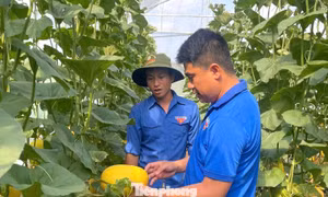 Bắt đất 'đẻ' ra tiền