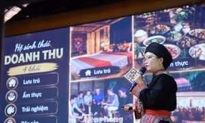 29 dự án xuất sắc lan tỏa khát vọng khởi nghiệp thanh niên nông thôn