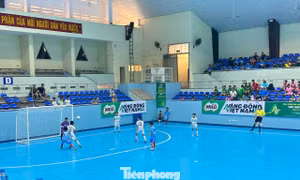 33 đội tranh tài vòng loại U11 và U13 toàn quốc tại Đắk Lắk