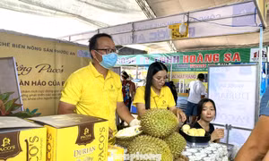 500 xe chở sầu riêng sắp diễu hành ở Đắk Lắk 