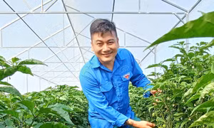 Những thanh niên 'nhóm lửa' khởi nghiệp giữa làng quê