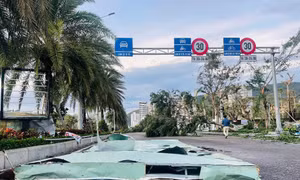 Bão số 13 càn quét, Gia Lai thiệt hại ước tính khoảng 5.000 tỷ đồng