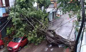Gia Lai đóng đèo An Khê vì bão số 13