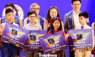 Hơn 32.000 thí sinh đoạt giải Violympic quốc gia năm học 2025 - 2026
