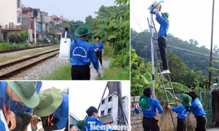 Ánh điện Mùa hè Xanh mang đến niềm vui vỡ oà