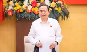 Dự kiến sáng 22/3 sẽ rà soát lần cuối, sau đó công bố kết quả bầu cử