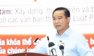 Triển khai Luật Phát triển đô thị, Chủ tịch TPHCM nói 'thời cơ đã đến'