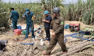 Phát hiện máy móc nghi phục vụ khai thác vàng tại khu đất của cán bộ công an xã