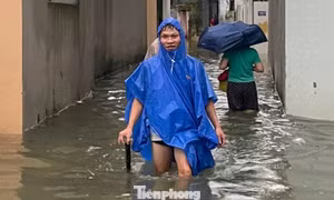Phó Chủ tịch tỉnh Thanh Hóa chỉ đạo kiểm tra khu phố cứ mưa là ngập