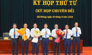 Hải Phòng miễn nhiệm, bổ nhiệm nhiều vị trí lãnh đạo thành phố
