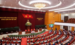 Thí điểm thành lập đảng bộ HĐND và đảng bộ MTTQ, các đoàn thể tỉnh, thành phố