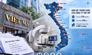 Bản đồ trúng thầu trải khắp các tỉnh, thành của Công ty Việt Mỹ