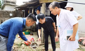 Sốt xuất huyết diễn biến phức tạp, một xã ghi nhận 21 ca mắc 