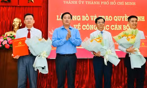 Kiện toàn Ban chấp hành Đảng Bộ các cơ quan Đảng TPHCM