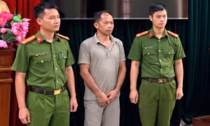 Thái Nguyên: Khởi tố vụ án mua bán lợn nhiễm bệnh