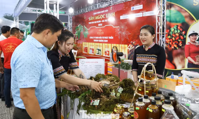 Du khách chen chân đi chợ sâm tiền tỷ bên Cầu Rồng